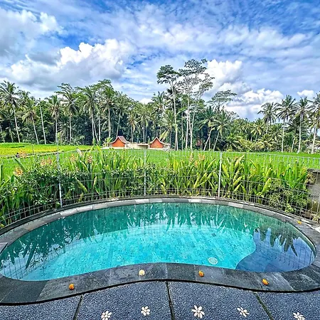 Sari Mumbul Villa In The Middle Of Rice Fields
